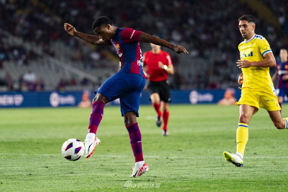 据一定比例 据一定比例